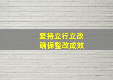 坚持立行立改 确保整改成效